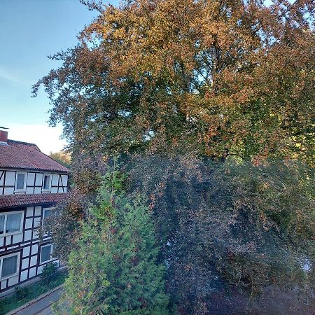 Gemuetliche Ferienwohnung Im Harz Bad Grund Exteriér fotografie