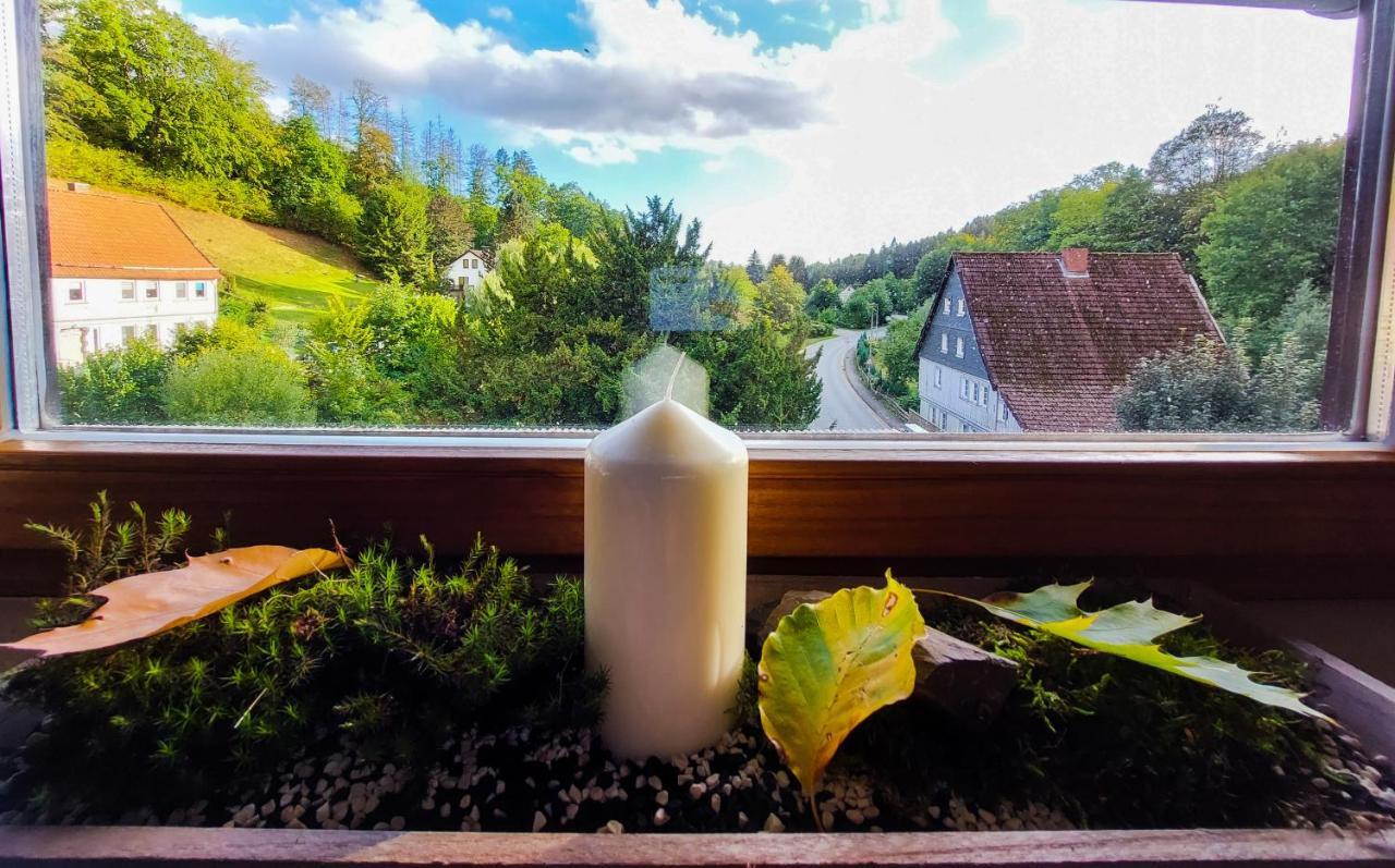 Gemuetliche Ferienwohnung Im Harz Bad Grund Exteriér fotografie