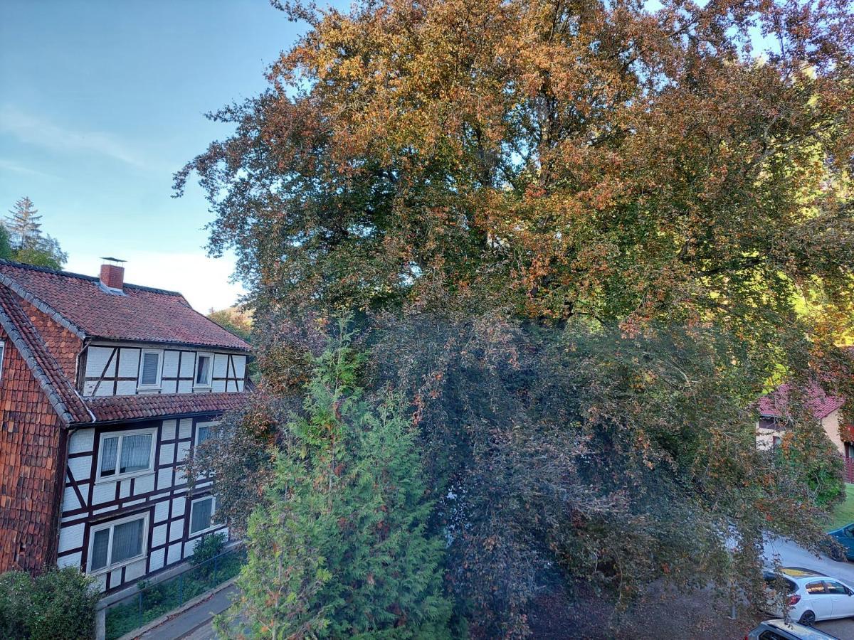 Gemuetliche Ferienwohnung Im Harz Bad Grund Exteriér fotografie